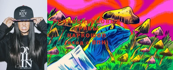 МДМА Богданович