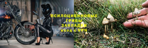 МДМА Богданович