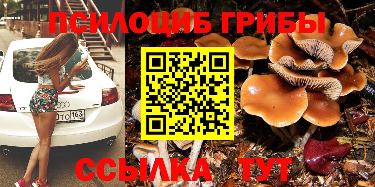 Псилоцибиновые грибы прущие грибы Гусев